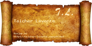 Teicher Levente névjegykártya
